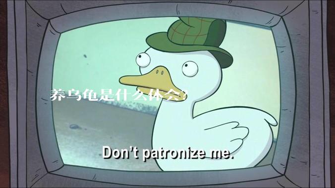 养乌龟是什么体会？