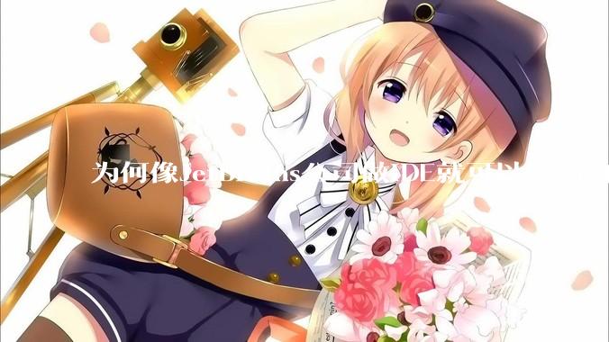 为何像JetBrains公司做IDE就可以养活自己，而国内做大型对公软件都很难养活公司？