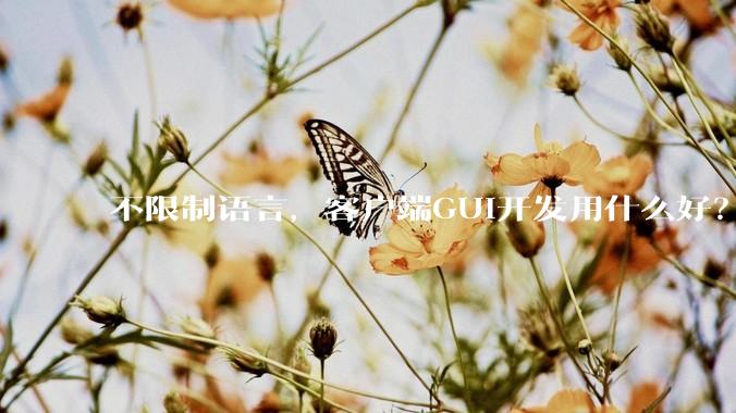 不限制语言，客户端GUI开发用什么好？